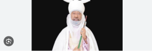 nasiru ado bayero net worth
