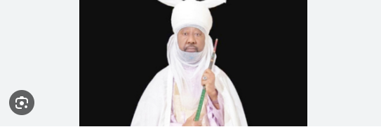 nasiru ado bayero net worth